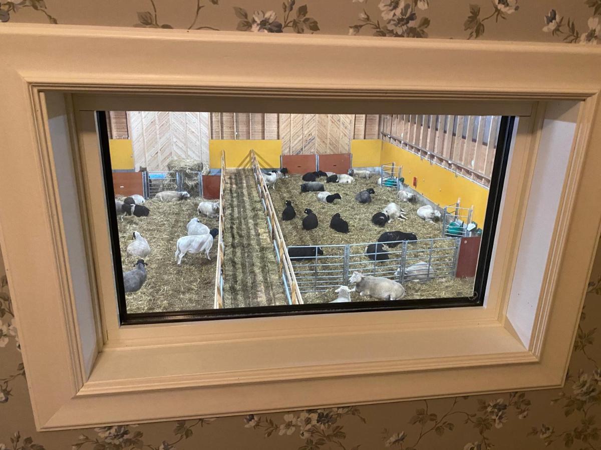 Newly Built Apartment Next Door To The Sheep Norrfjarden 외부 사진